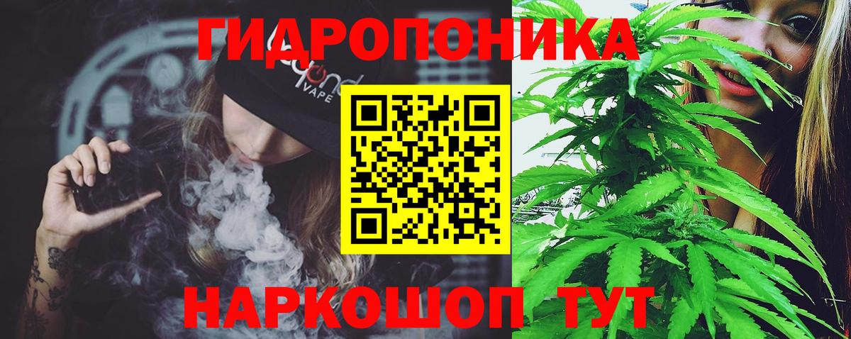 Бошки Шишки MAZAR  Бошки Шишки SATIVA & INDICA  Муром  Вход с VPN 